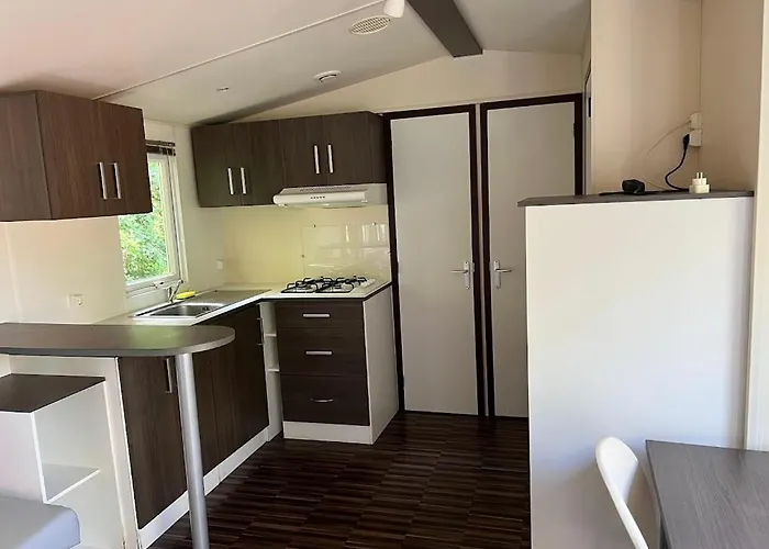 Le Faucon D'or Montricoux