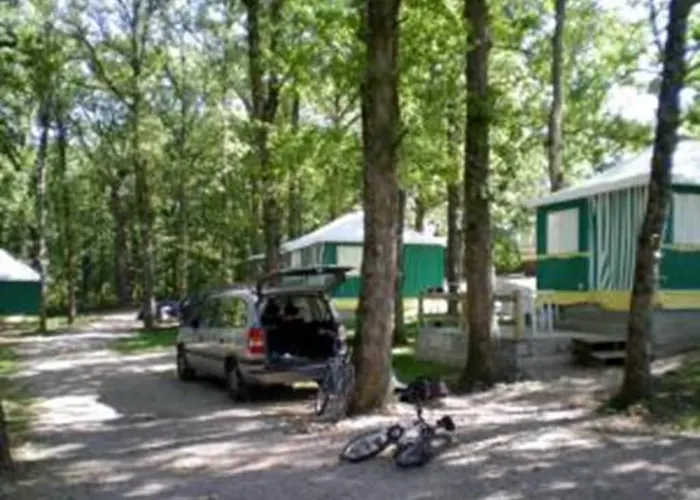 Le Faucon D'or Montricoux