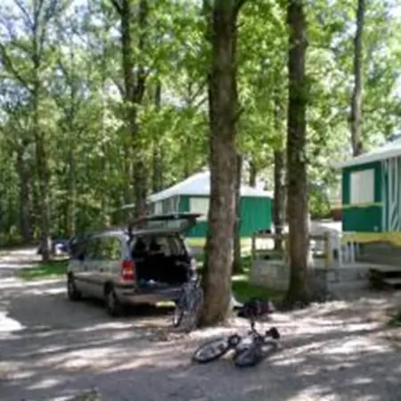 Le Faucon D'or Montricoux